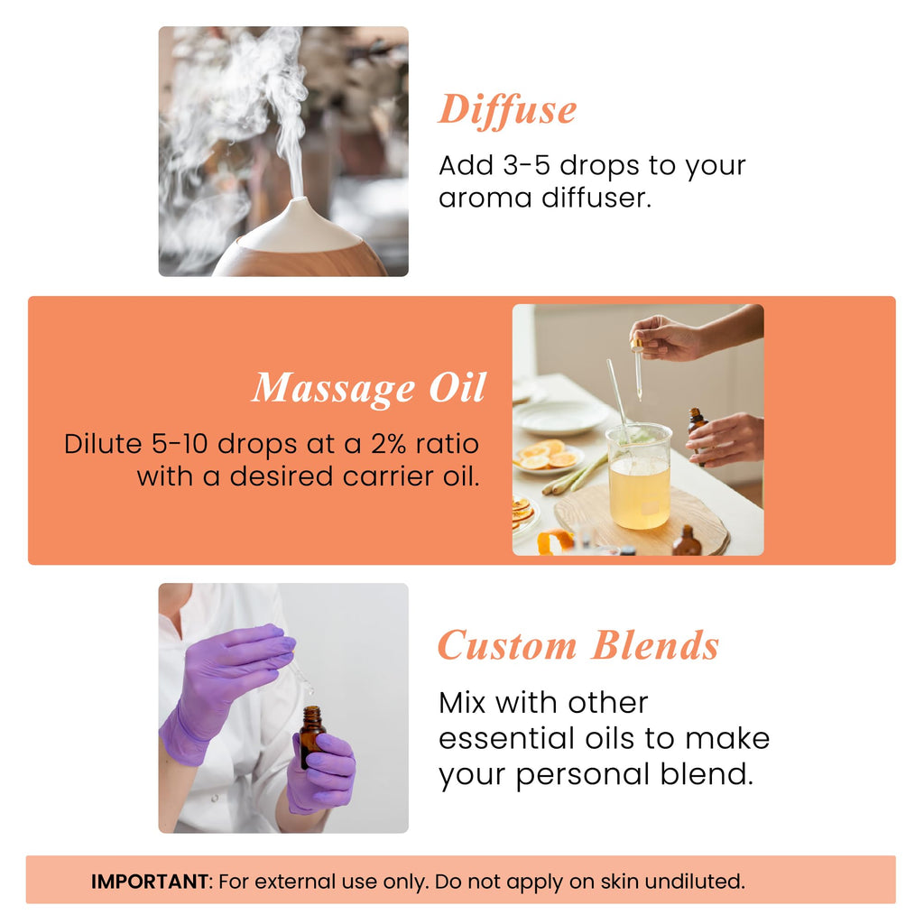 Handcraft Blends Peppermint Essential Oil – Huge 4 Fl Oz – 100% Pure and Natural – Premium Grade Essential Oil for Diffuser and Aromatherapy, Skin, Massage, Candle and Soap Making Fragrance