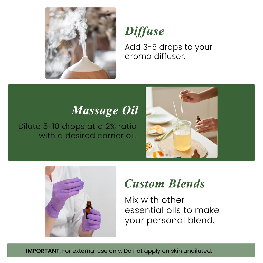 Handcraft Blends Peppermint Essential Oil – Huge 4 Fl Oz – 100% Pure and Natural – Premium Grade Essential Oil for Diffuser and Aromatherapy, Skin, Massage, Candle and Soap Making Fragrance