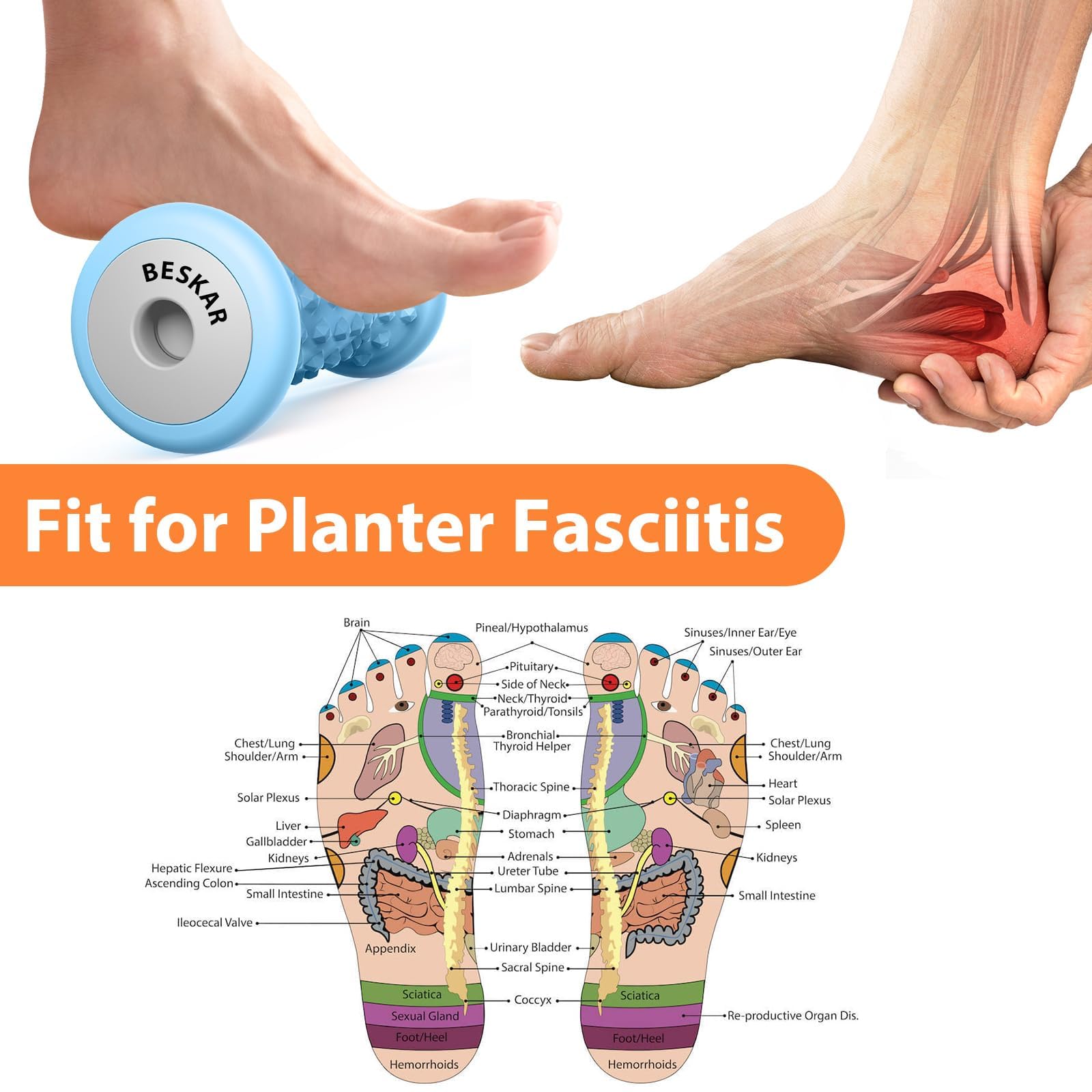 BESKAR Foot Massager Roller for Plantar Fasciitis Relief, Portable, Deep Tissue Muscle Massage, Foot Arch and Heel Pain, Reflexology Tool