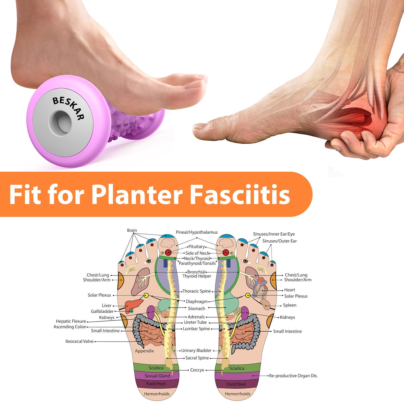 BESKAR Foot Massager Roller for Plantar Fasciitis Relief, Portable, Deep Tissue Muscle Massage, Foot Arch and Heel Pain, Reflexology Tool