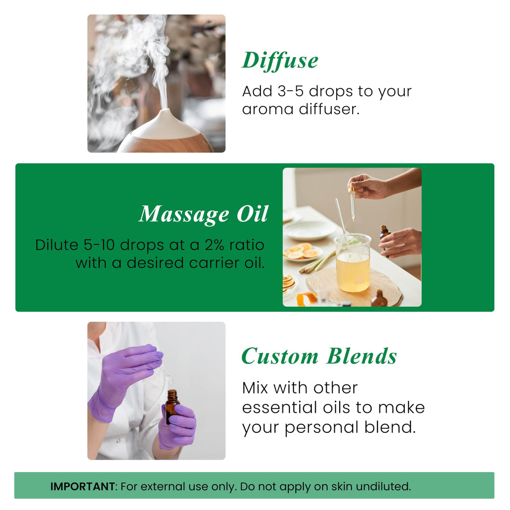 Handcraft Blends Peppermint Essential Oil – Huge 4 Fl Oz – 100% Pure and Natural – Premium Grade Essential Oil for Diffuser and Aromatherapy, Skin, Massage, Candle and Soap Making Fragrance