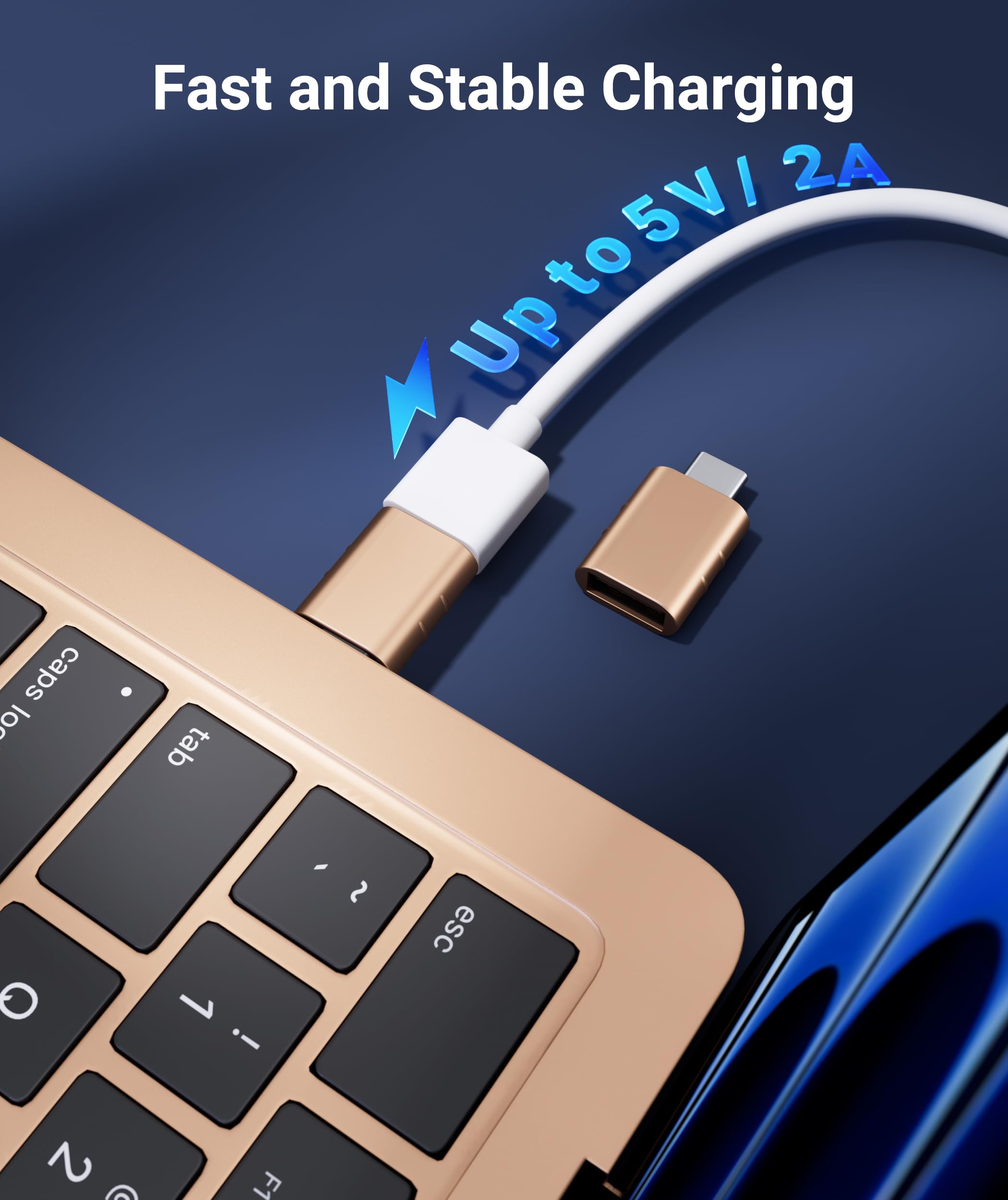 Syntech USB C to USB Adapter Pack of 2, USB 3.0 Female to Thunderbolt 4/3 Adapter Compatible with MacBook Pro Air 2024, Surface, iPad, iPhone, Galaxy Notebook, XPS and More Type C Devices, Space Grey