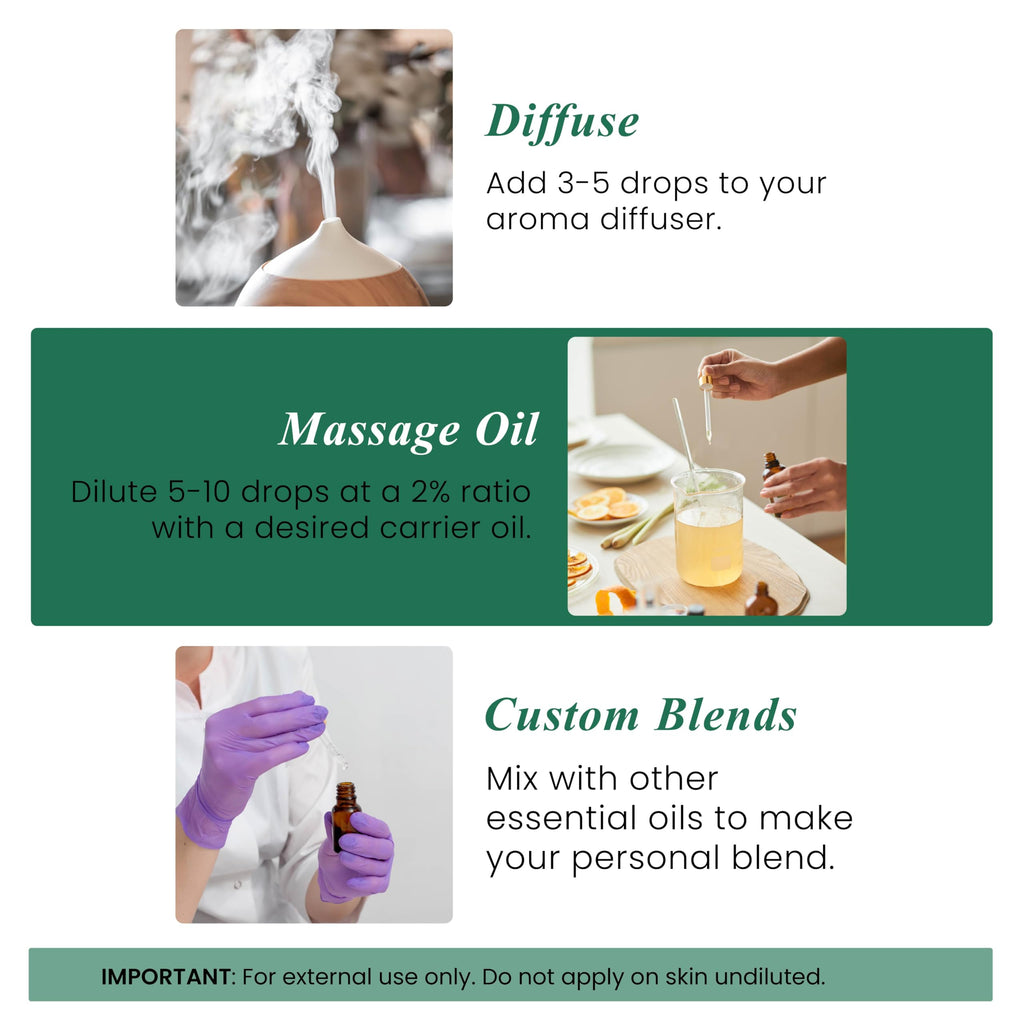 Handcraft Blends Peppermint Essential Oil – Huge 4 Fl Oz – 100% Pure and Natural – Premium Grade Essential Oil for Diffuser and Aromatherapy, Skin, Massage, Candle and Soap Making Fragrance