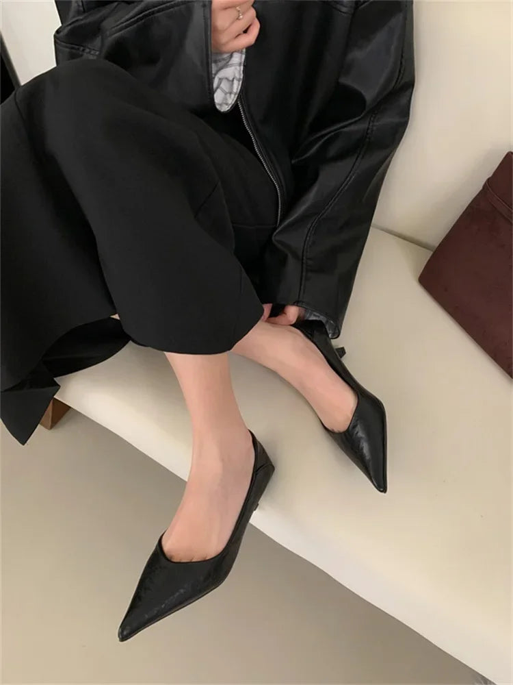 Eilyken Spring Design Leopard Print Woman Pumps Pointed Toe Thin Low Heels Elegant Party Female Shoes Zapatos De Mujer